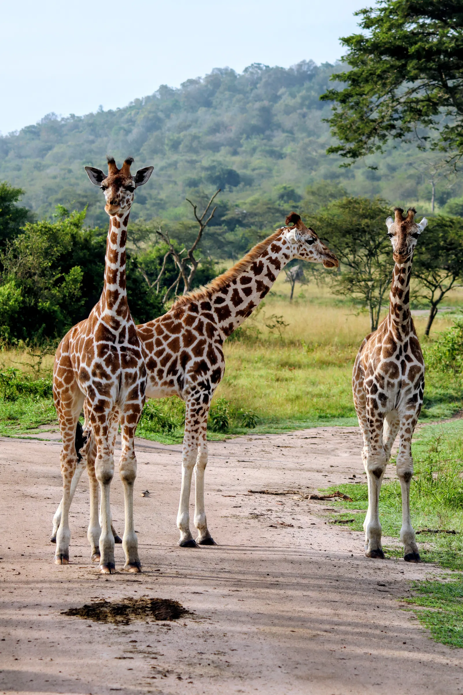 Uganda adventures