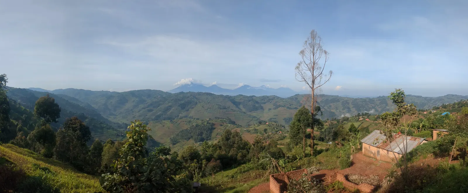 Uganda landscape